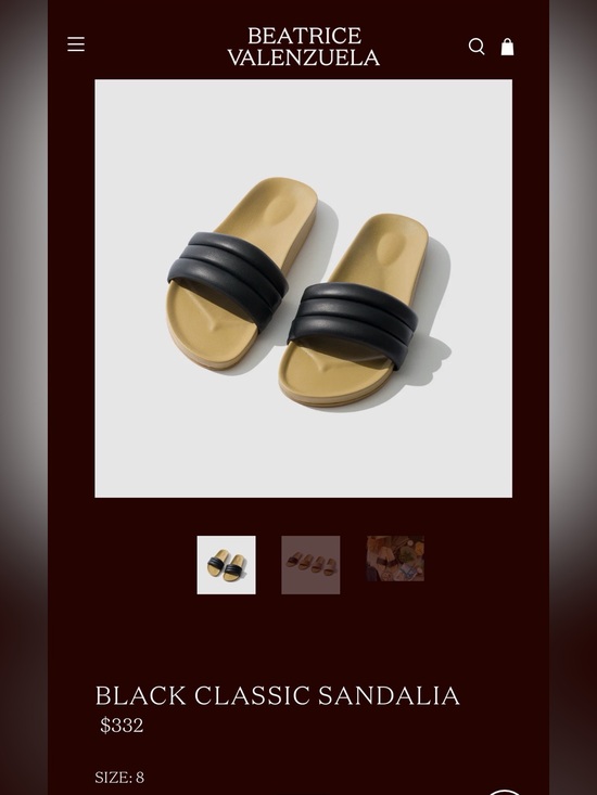 Beatrice Valenzuela Shoes - Beatrice Valenzuela Black and Tan Slide Sandals